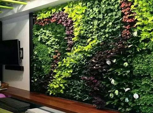 家庭绿化墙系列
